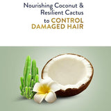 Parachute Gold Hair Cream with Coconut & Cactus - 140ml (1+1) Offer