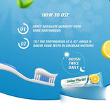 Dabur Herbal Brightening Salt & Lemon Toothpaste - 150g