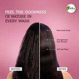 Vatika Naturals Red Onion Hair Fall Control Shampoo - 400ml