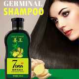 King Of Ginger Anti-Hair Loss and Hair Growth Germinal Shampoo - 200ml