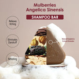 Disaar Mulberries & Angelica Sinensis Shampoo Bar - 120g