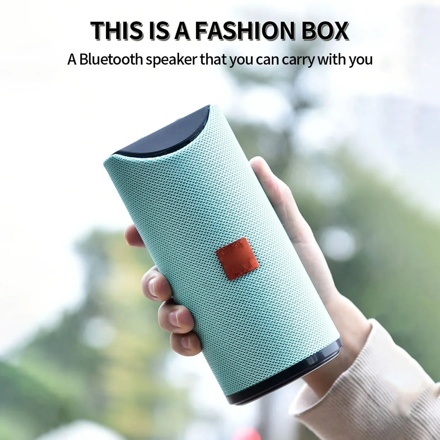 Portable Wireless Bluetooth Speaker - 113 Portable Wireless Bluetooth Speaker - 113