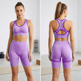 Women's Seamless High Waist Gym Fitness Yoga Wear Set - CW2081