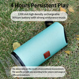 Portable Wireless Bluetooth Speaker - 113