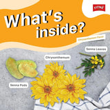 Fitne Herbal Infusion Chrysanthemum Flavored Tea - 2.5g × 15 Sachets (Box)