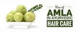 Amla Hair Pack With Reetha, Methi, Harad 100g - Elina - Pinoyhyper