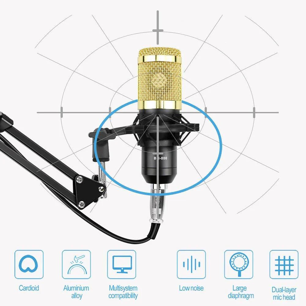 Condenser Microphone Professional stage Mic Set - Pinoyhyper Condenser Microphone Professional stage Mic Set - Pinoyhyper