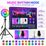 RGB Fill Light Ring Light with Mobile Holder - MJ-171