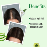 Kesh King Ayurveda Gold Anti-Hairfall Shampoo - 340ml