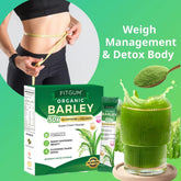 Fitgum مسحوق الشعير العضوي فائق الخضرة - 3 جرام × 15 كيس