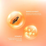 كريم ليلي بخلاصة البابايا من RDL - 48 جم