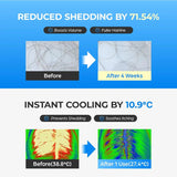 Seapuri Scalpy Hair Serum - 20ml