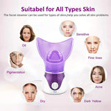 NTFS Beauty Facial Steamer NTFS-618