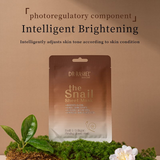 Dr.Rashel Snail & Collagen Firming Sheet Mask - 10 Pcs × 25g