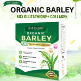 Fitgum Organic Barley Super Green Powder - 3g × 15 Packs