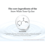 Secret Key Snow White Spot Gel - 65g