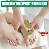 Hanei Natural Wormwood Body Cleansing Foot Pad - 10Pcs
