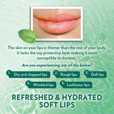 Vaseline Lip Therapy Stick Mint - 4.8g