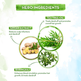 Mamaearth Tea Tree Anti Dandruff Hair Oil With Ginger - 250ml