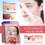 Sadoer Pomegranate Antioxidant Gloss Facial Mask - 25ml