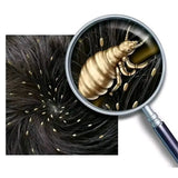 Disaar Lice Repellent Hair Oil