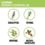 Listerine Multi Protect Green Tea Mouthwash - 500ml