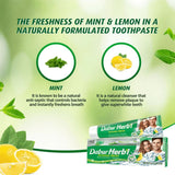 Dabur Herbal Intense Fresh Gel Toothpaste With Tooth Brush Free - 150g