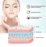 Osenjie Professional Facial Steamer BY-1278