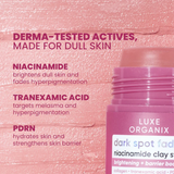 Luxe Organix Dark Spot Fading Niacinamide Clay Stick - 52g