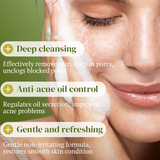 Kormesic Oil Control Green Tea Anti-Acne Facial Cleanser - 100g