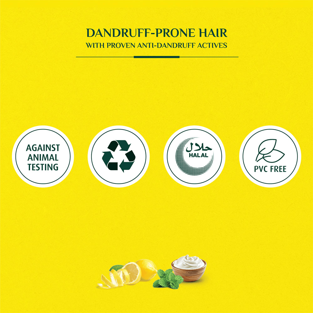 Dabur Vatika Dandruff Guard Shampoo 400ml + 200ml Dabur Vatika Dandruff Guard Shampoo 400ml + 200ml
