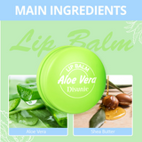 Disunie Fresh & Moisturizing Aloe Vera Lip Balm - 10g