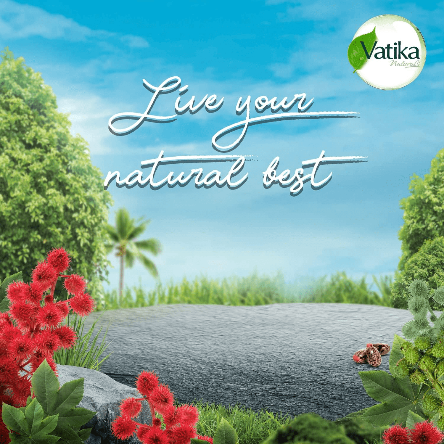 Vatika Naturals Castor Enriched Hair Oil - 200ml - Pinoyhyper Vatika Naturals Castor Enriched Hair Oil - 200ml - Pinoyhyper