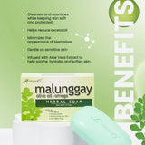 Moringa-O2 Malunggay Herbal Moisturizing Soap - 135g