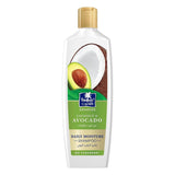 Parachute Advansed Coconut & Avocado Daily Moisture Shampoo - 340ml