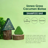 Disaar Usnea Grass & Cacumen Biotae Shampoo Bar - 120g