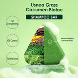 Disaar Usnea Grass & Cacumen Biotae Shampoo Bar - 120g