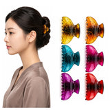Dantiya Stylish Glossy Hair Claw Clips - 6 Pcs (ACG00107)