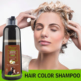 Disaar Organic Brown Hair Care Dye Shampoo 400ml - Brown Color - Pinoyhyper