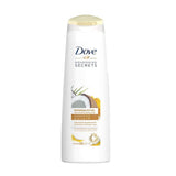 Dove Repairing Ritual Shampoo Coconut - 400ml - Pinoyhyper