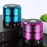 Mini Portable Bluetooth Speaker WS-887