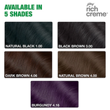Godrej Rich Creme Hair Color Black Brown 3.00 - 20g + 20ml