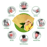 FAREJIANGTIE Pain Relief Ginger Patches