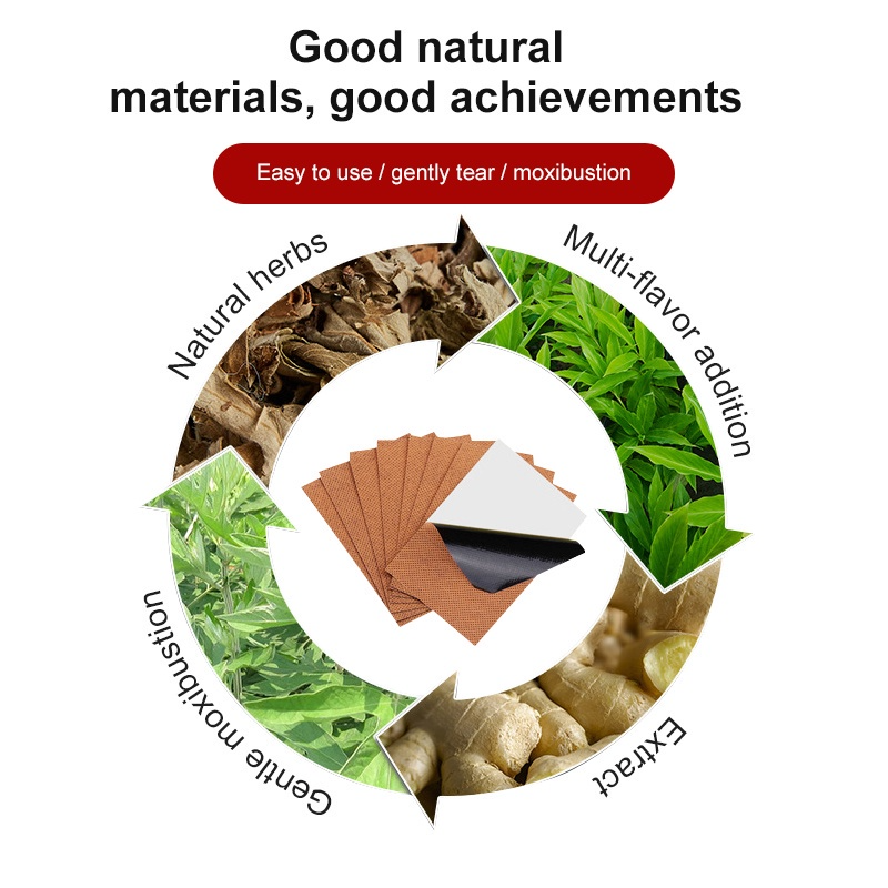 FAREJIANGTIE Pain Relief Ginger Patches