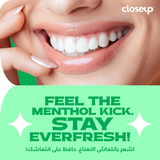 Closeup Triple Fresh Gel Toothpaste Menthol Fresh - 156g