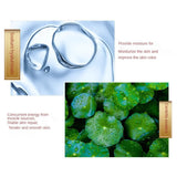 Simu Dragon Blood Face Cream - 50g