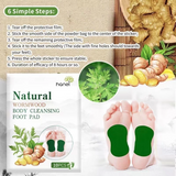Hanei Natural Wormwood Body Cleansing Foot Pad - 10Pcs