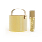 Smartbarry Portable Karaoke Speaker With Microphone YS-101
