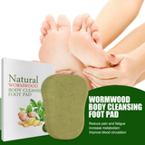 Hanei Natural Wormwood Body Cleansing Foot Pad - 10Pcs