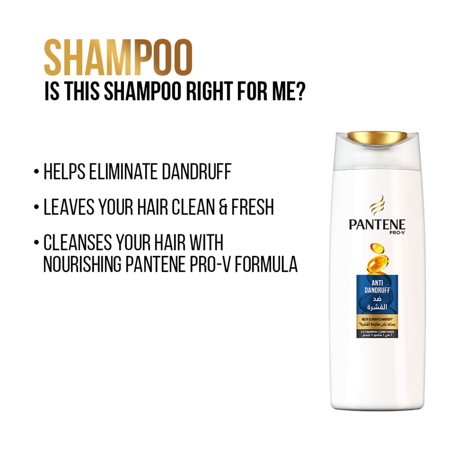 Pantene Pro-V Anti-Dandruff 2 in 1 Shampoo + Conditioner - 400ml